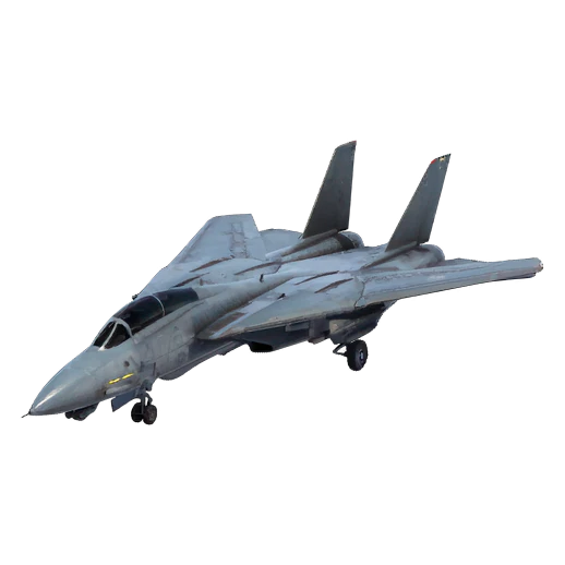 F-14"雄猫"