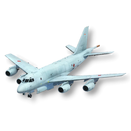 P-1
